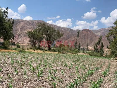 🏡 ¡Terreno En Venta En Zona Estratégica – Valle Sagrado De Los Inkas! 🌄
