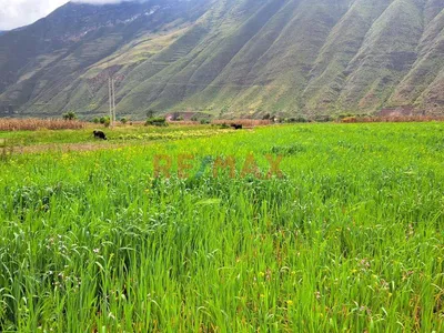En Venta Terreno En Valle Sagrado De Cusco A Precio De Ocasion