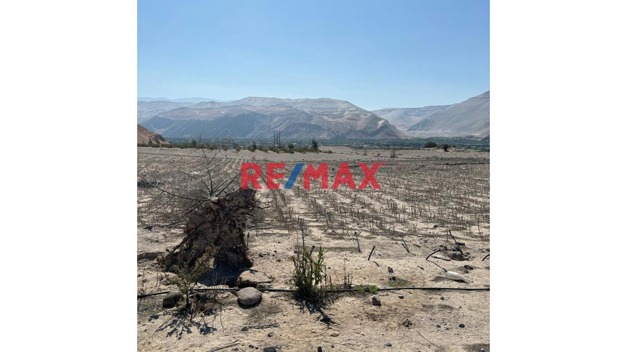 En Venta Terreno Agricola Con Alto Potencial De Valorización