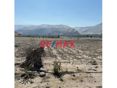 En Venta Terreno Agricola Con Alto Potencial De Valorización