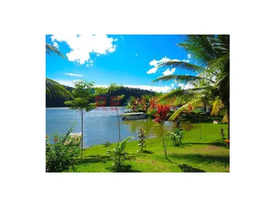 Vive Frente A La Laguna Azul 🏞️ | Hermosa Propiedad En El Sauce - Tarapoto