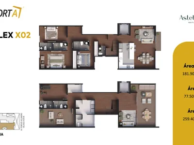 Modelo DUPLEX 502