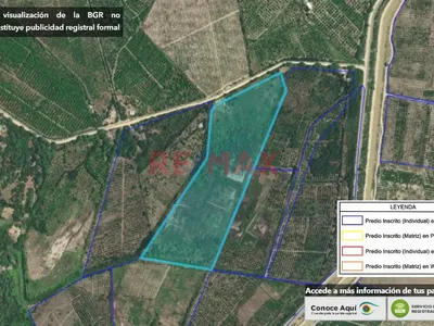 Vendo Terreno Agricola 13.04 Hectareas En Cieneguillo Sur Sullana