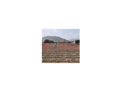 Us$ 46.00M2 Terreno Agrícola 5.750Ha Sobre La Panamericana Norte–Proyecto Irrigacion Paraiso - Huaura, Santa María