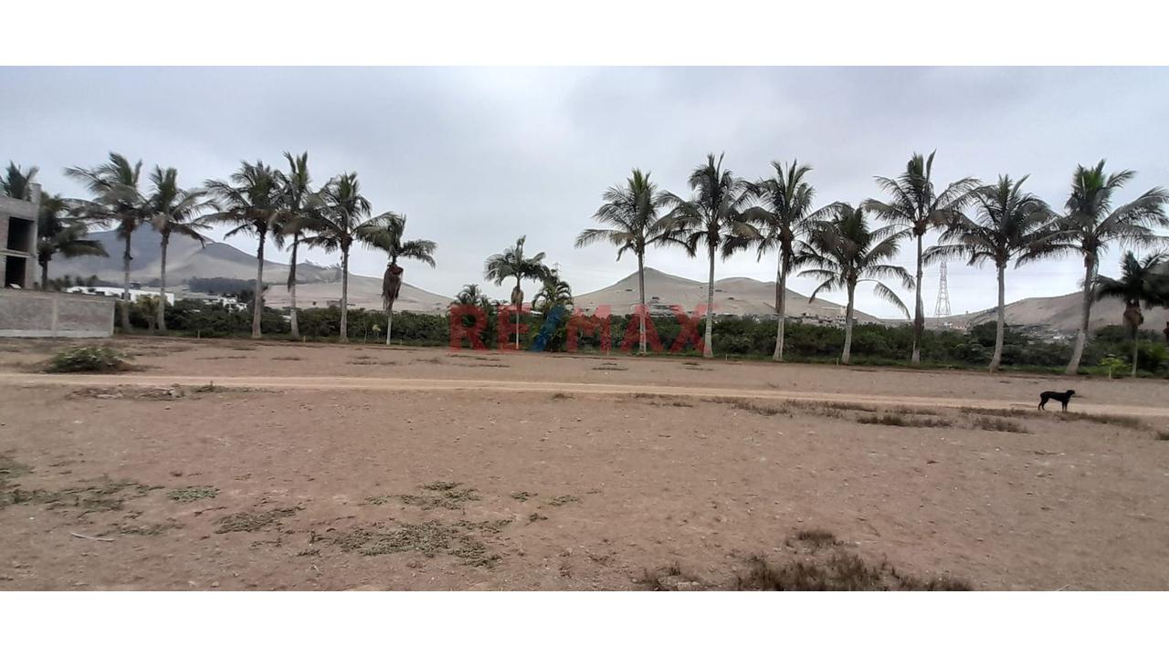 🏡 Venta De Terreno En Lurín – Rinconada De Puruhuay (Zona C)