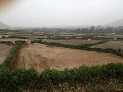 Venta de Terreno / Lote en Pachacamac - Lima