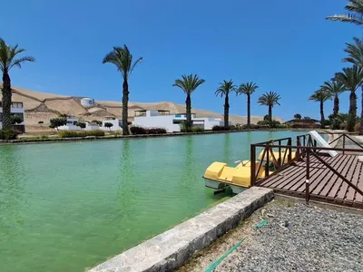 Venta de Terreno / Lote en Asia - Cañete 0 Dormitorio 