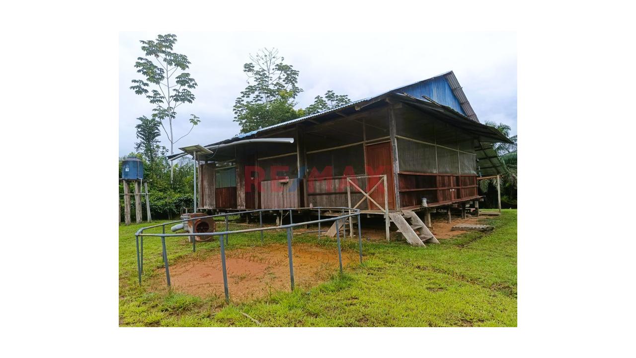 Terreno Rustico De 128.48 Ha En Venta – Carretera Iquitos–Nauta