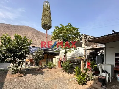 Alquiler De Local Comercial 477.97 M² En La Molina – Av. La Molina, Urb. El Sol De La Molina