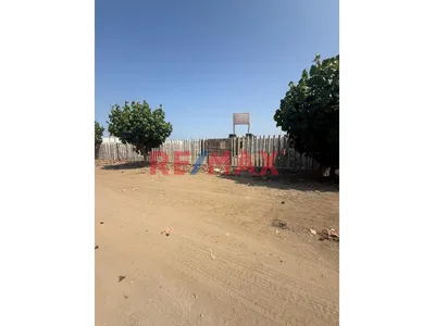🌴🏡 Venta De Lotes – Asociación La Arboleda De Bujama 🏡🌴