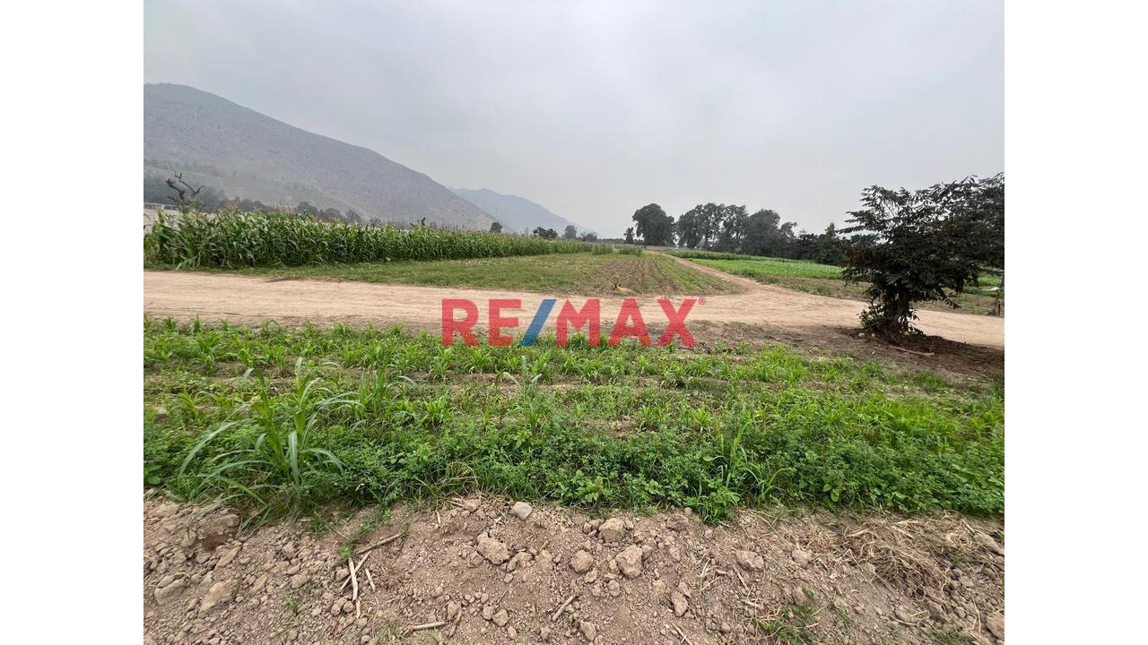 Se Vende Hermoso Terreno De 21,500 M2 En Pachacamac