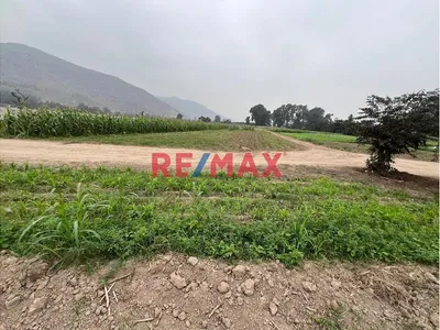 Se Vende Hermoso Terreno De 21,500 M2 En Pachacamac