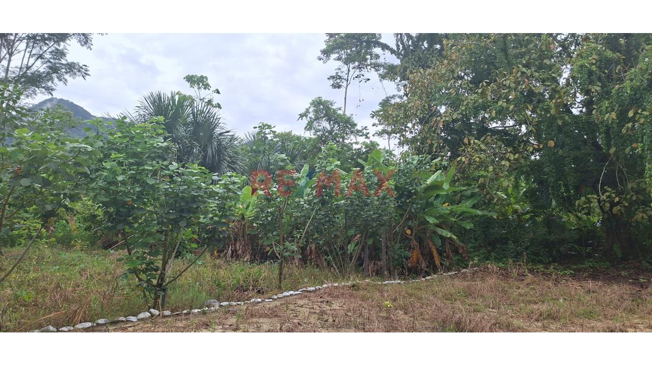 Terrenos En Venta – Zona Turística De Naranjillo, Tingo María -Huanuco