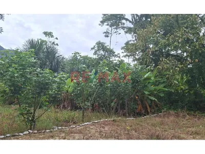 Terrenos En Venta – Zona Turística De Naranjillo, Tingo María -Huanuco
