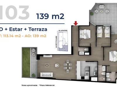 Modelo Flat con terraza 103