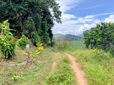 Vendo Terreno Extenso En Pichanaqui