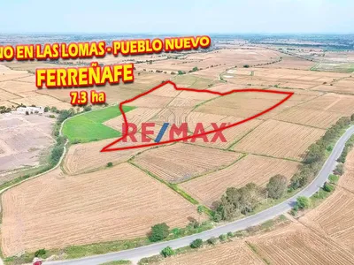 Terreno En Venta - En Las Lomas - Pueblo Nuevo - Ferreñafe De 7.3Ha