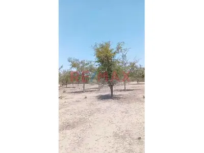 Se Vende Terreno Industrial, Olmos