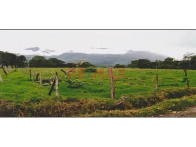 Terreno En Oxapampa: 1.9203 Hectáreas De Naturaleza, Inversión Y Oportunidad Única