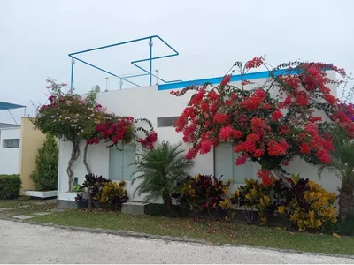 Casa de Playa en venta · Condominio Palabritas - Panamericana Sur, Asia · 180 m², 4 dorm.