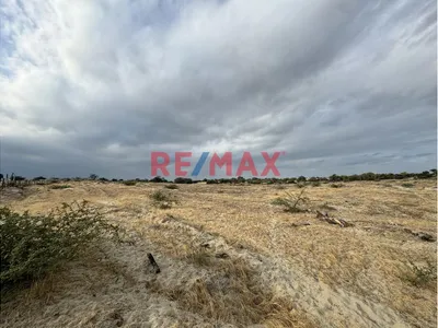🔥 Oportunidad De Inversión | Terreno De 4.93 Ha En La Palma – Piura | Partida Registral