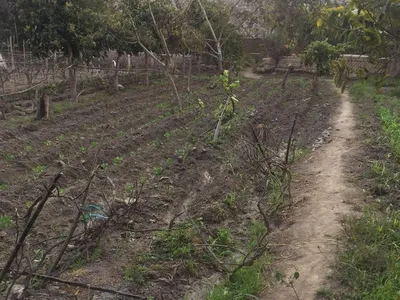 Venta de Terreno / Lote en Lunahuana - Cañete