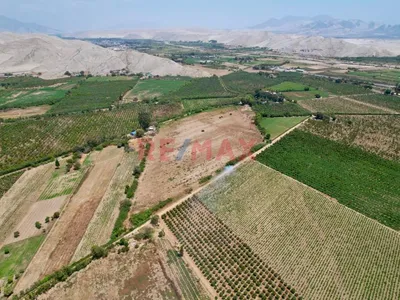 🏡🌾 Oportunidad De Inversión Agrícola En Casma 🌾🏡