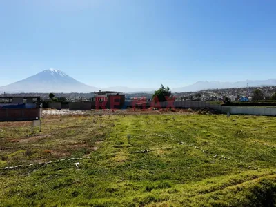 Se Vende Terreno En Los "Olmos" En Socabaya  Para Casa De Campo