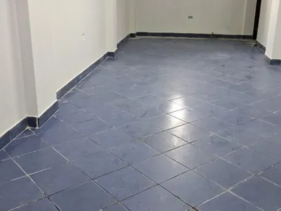 Alquiler de Local Comercial en Magdalena - del - Mar - Lima 0 Dormitorio 
