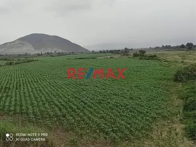 Terreno en venta · Chancay · 18795 m²