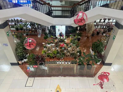 Alquiler de Local Comercial en Santiago de Surco - Lima 0 Dormitorio 
