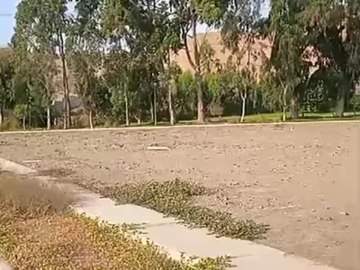 Venta de Terreno / Lote en Santa Cruz de Flores - Cañete