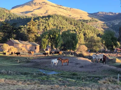 Venta de Terreno / Lote en Cusco - Cusco 1000 Dormitorios 