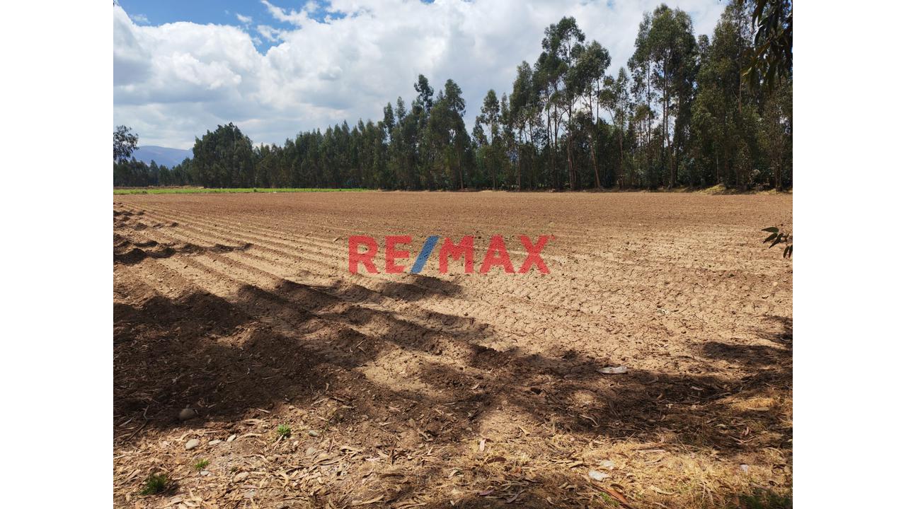 🏗️ 11,291 m² EN VENTA - CONCEPCIÓN | TERRENO PARA INVERSIONISTAS