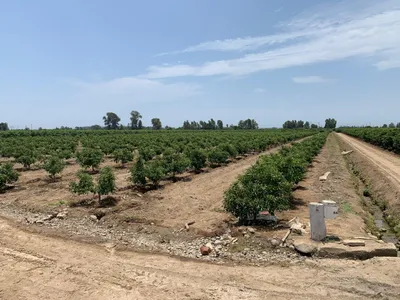 Terreno Agricola Cañete