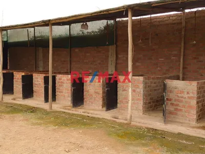 Se Alquila Terreno Habilitado Para Guardería De Perros En Pachacamac