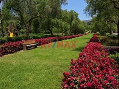 Terreno En Condominio Fundo Pradera I Pachacamac