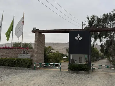 Terreno en venta · Condominio las Dunas, Asia · 600 m²
