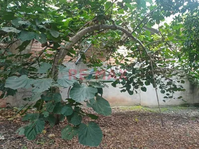 Alquilo Terreno Comercial  A Media Cdra Del Cumo Y 4Ta Cuadra Jr Reyes Guerra Moyobamba