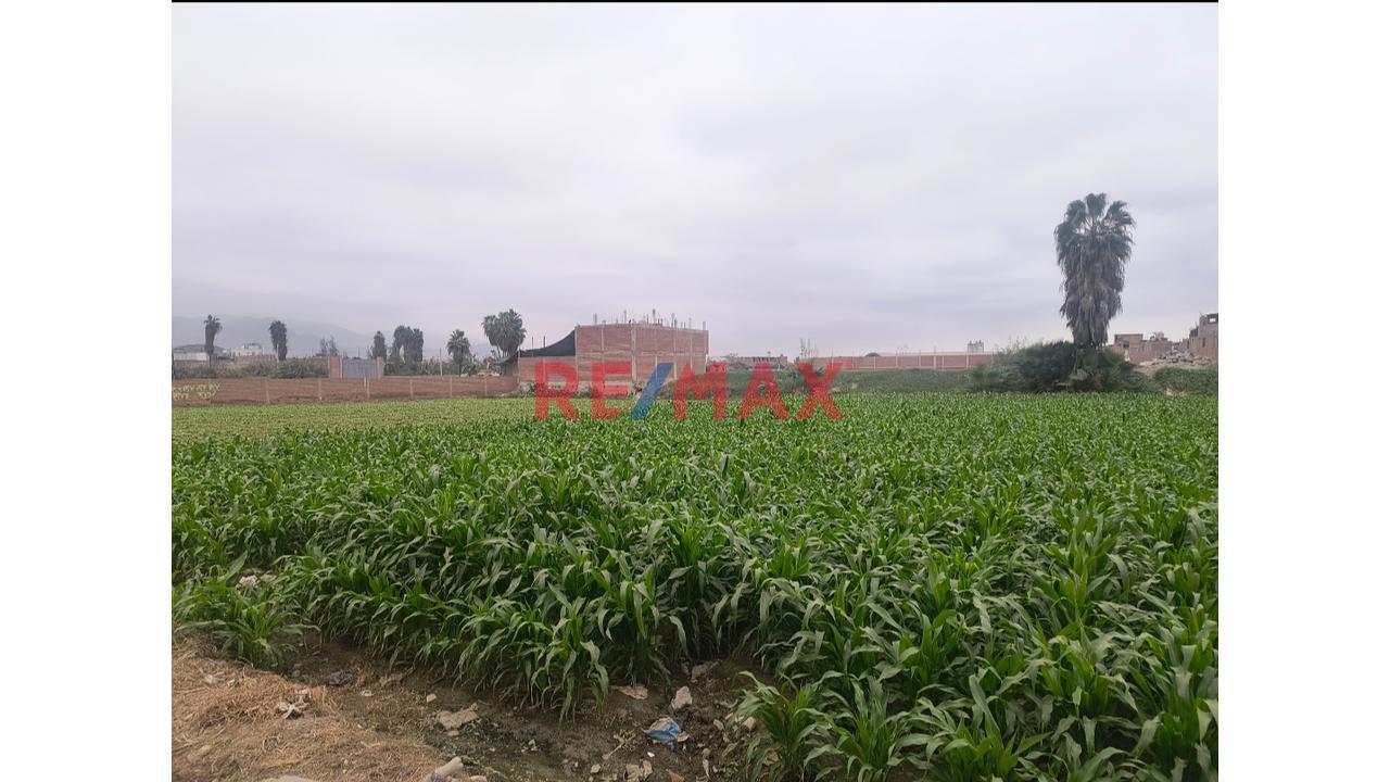Terreno En Venta