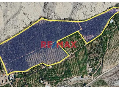 Se Vende Fundo Agrícola De 8 Ha En Ciudad De Casma