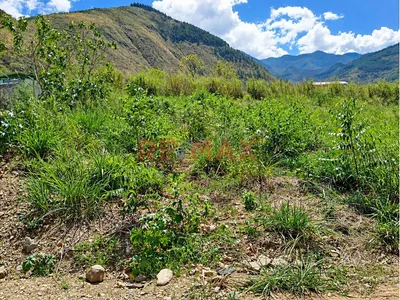 🏡🌿 Terreno En Venta En Quillabamba – 200 M² | Santa Ana