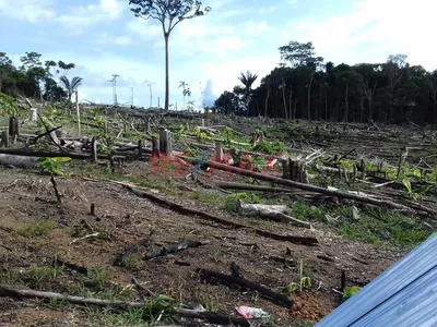 🔥 Ocasión – 28 Hectáreas Inscritas En Loreto Solo S/ 60,000 | Carretera Iquitos – Nauta