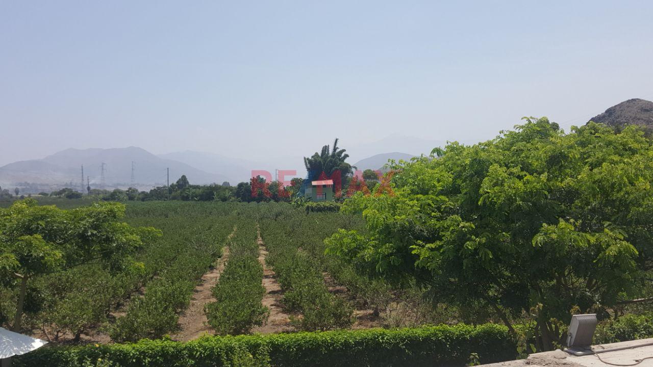 En Venta Terreno Agricola 7300M2 En Valle De Mala