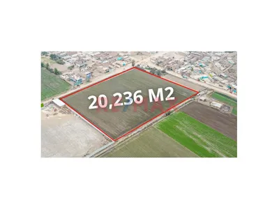 Se Vende Amplio Terreno De 20,236 M2 En Ex Fundo Chuquitanta - San Martín De Porres