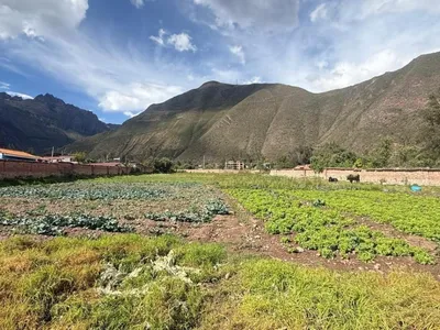 Venta de Terreno / Lote en Ollantaytambo - Urubamba 0 Dormitorio 