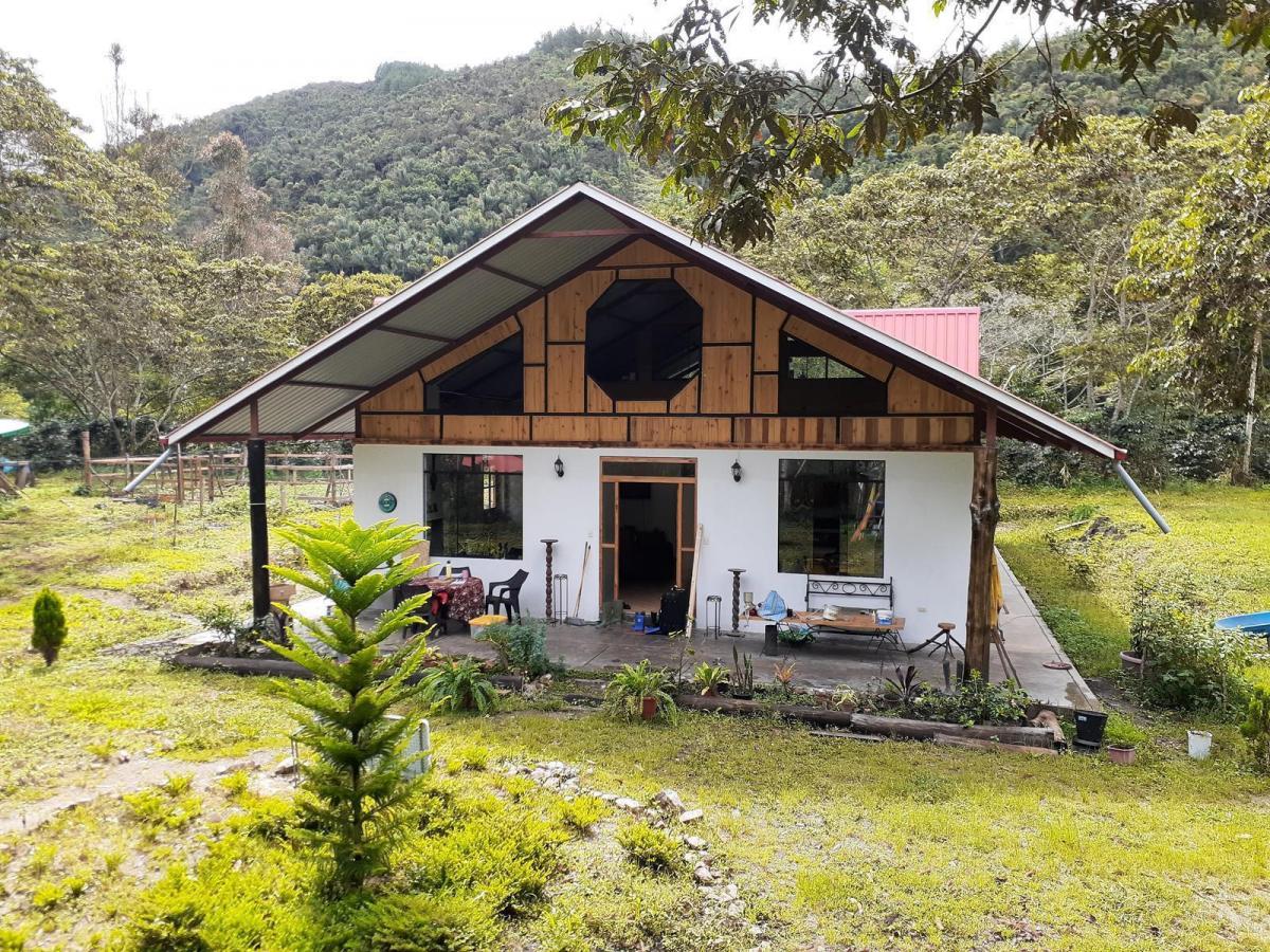 Venta de Terreno / Lote en - Oxapampa 0 Dormitorio 