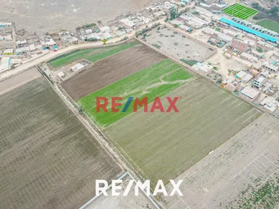 Venta De Terreno: Ideal Para Inversores Y Agricultores San Martín De Porres | Ubicación Estratégica