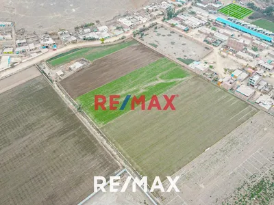 Venta De Terreno: Ideal Para Inversores Y Agricultores San Martín De Porres | Ubicación Estratégica