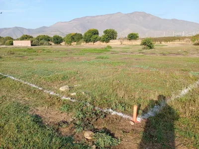 Venta de Terreno / Lote en Huaral
